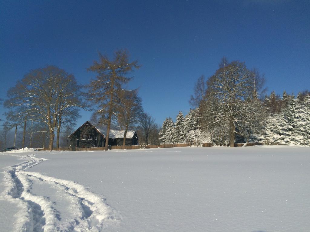 Вилла Ferienhaus Berghuette Vogtland In Клингенталь Экстерьер фото