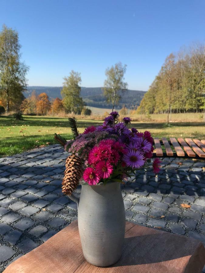 Вилла Ferienhaus Berghuette Vogtland In Клингенталь Экстерьер фото